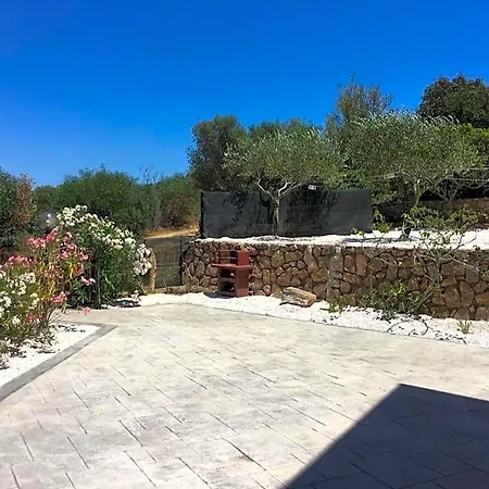 Tavolara Bed and breakfast Puntaldia